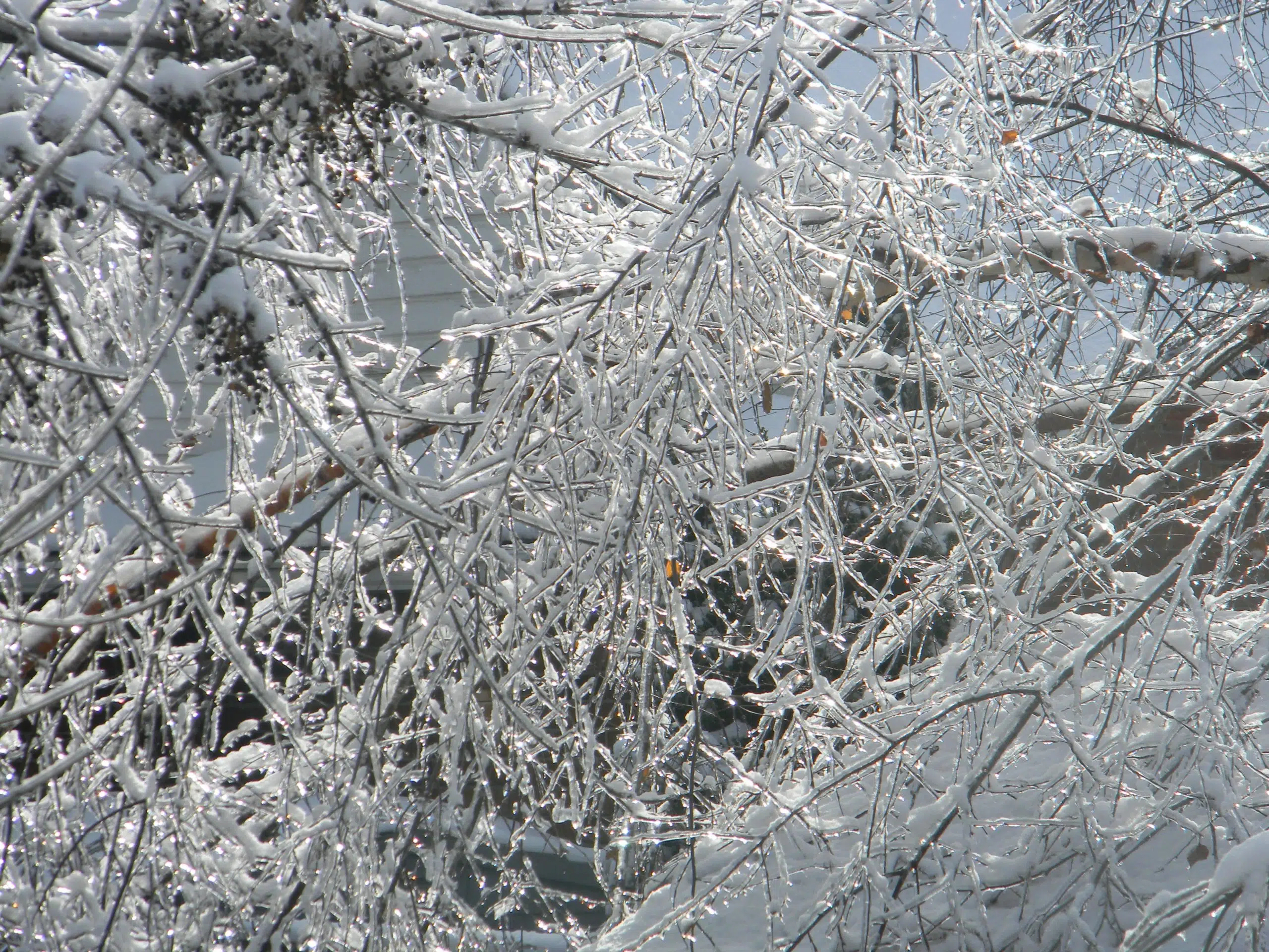 Risk of freezing rain tonight on Kamloops-area mountain passes