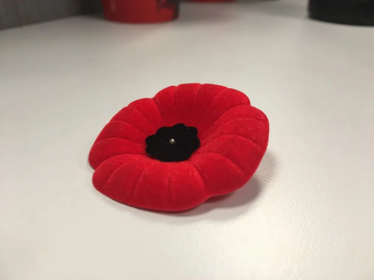 Poppy campaign launches in Kamloops | Radio NL - Kamloops News