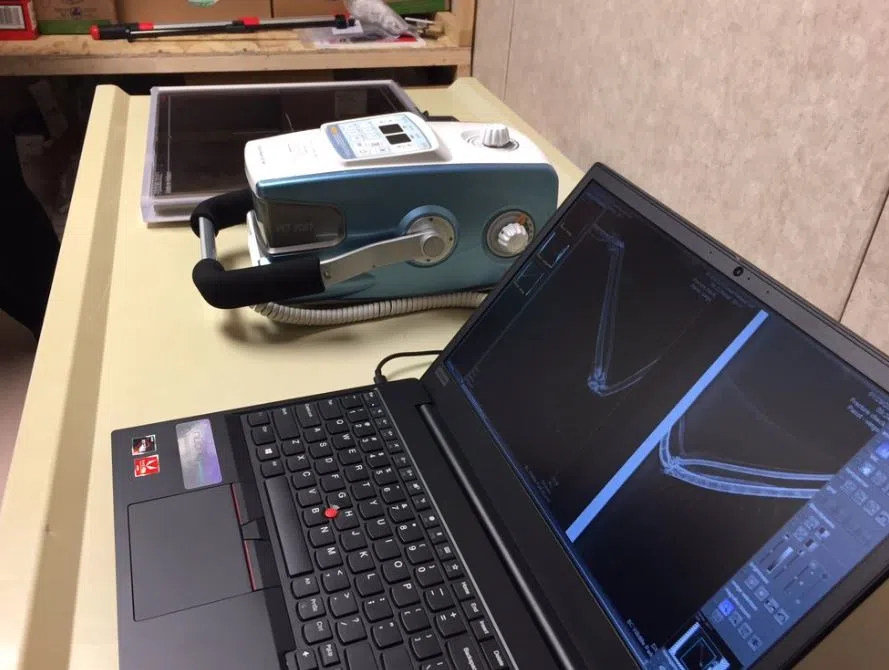 BC Wildlife Park officially unveils new $45,000 x-ray machine