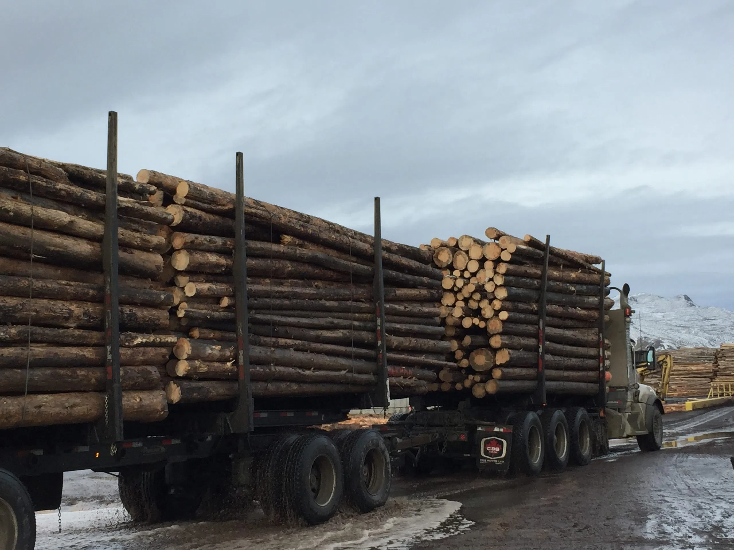 Mass timber could help Interior's forest sector, says Parliamentary Secretary for Forestry