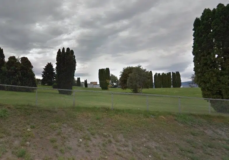 City to phase in tree museum at Old Men's Provincial Cemetery on Sixth Avenue