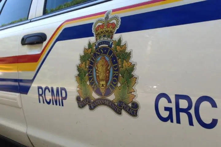 Kamloops police dog helps arrest pair with outstanding warrants