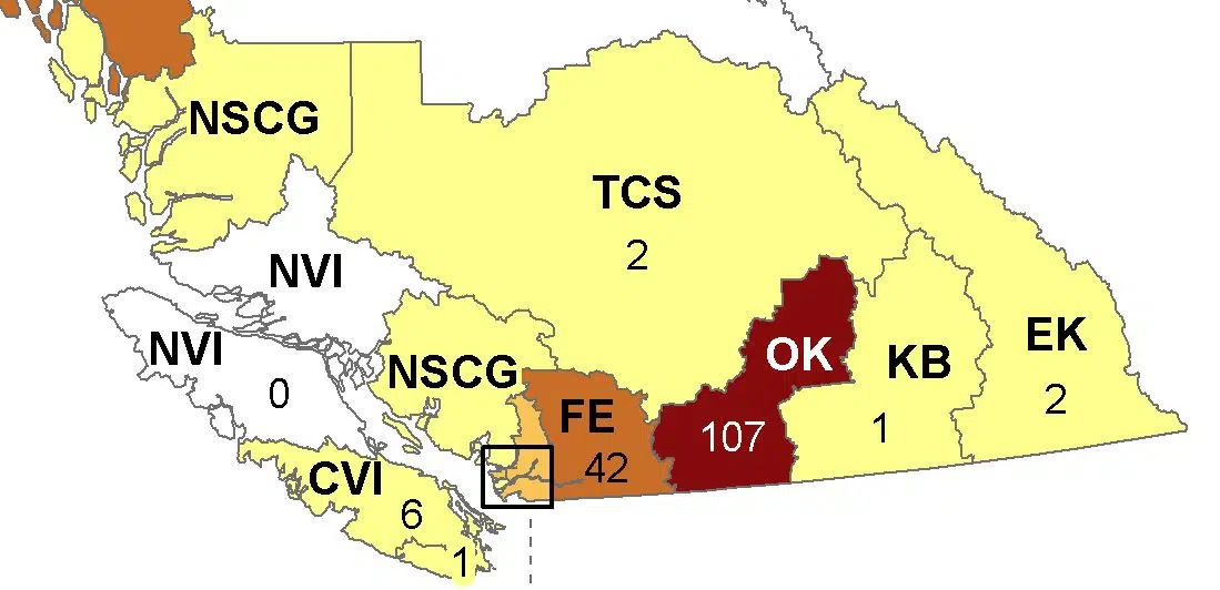 New data reveals 107 COVID-19 cases in the Okanagan in the last two weeks