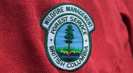 RCMP say BC Wildfire fighter killed by falling tree near Revelstoke