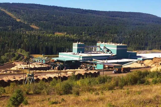 Something in the works for 100 Mile House logging industry says mayor