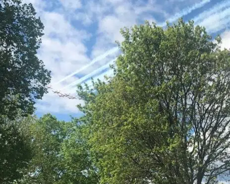 UPDATE - Snowbirds fly over Kamloops in 'emotional' first return to city since May 2020 fatal crash