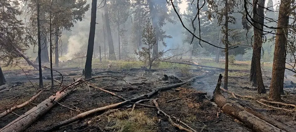 New wildfire north of Logan Lake forces 166 properties to be evacuated