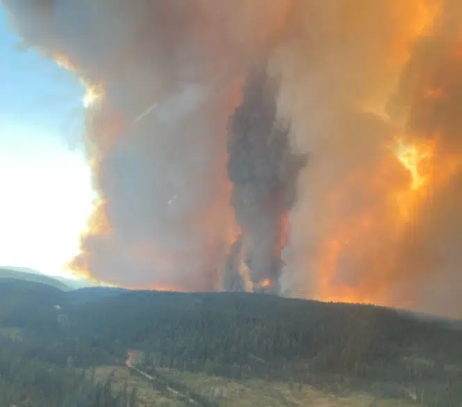 B.C. government says response was instant to White Rock Lake fire; says fire activity was aggressive from outset