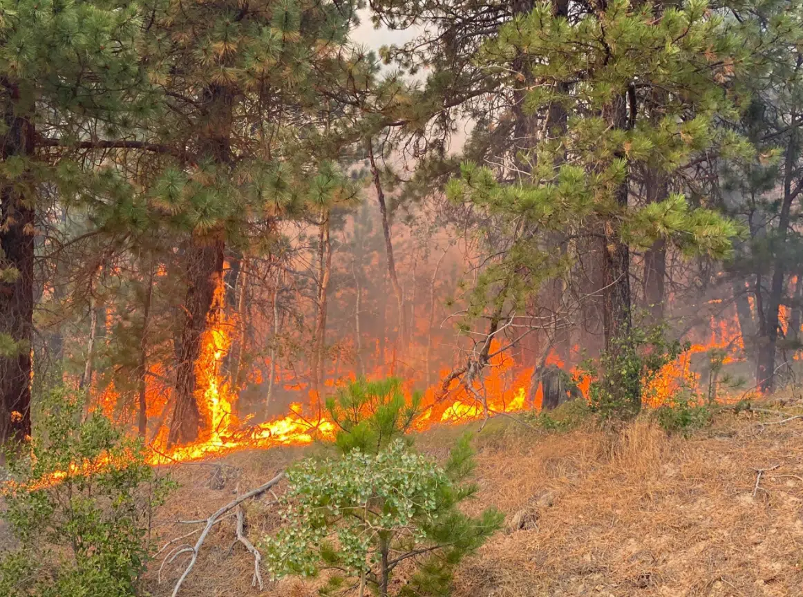 RCMP identify suspect in alleged assault and truck fire that led to forest fire in Brookmere