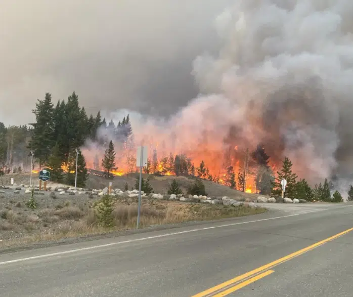 Logan Lake fire chief not letting his guard down even as Tremont Creek Fire is being held