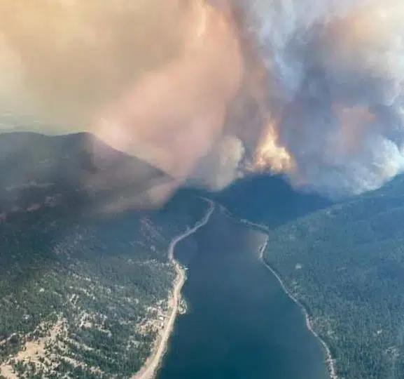 Mountain pine beetle-infested timber an issue at White Rock Lake fire, Deputy Forest Minister says