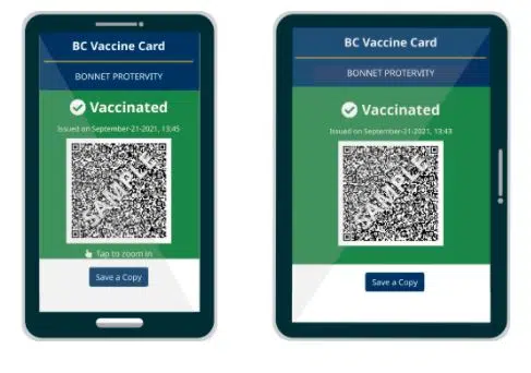B.C. to end use of COVID-19 vaccine passports this Friday, April 8