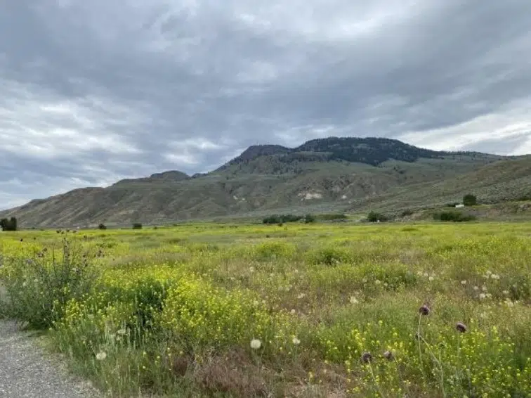 First Nations to reportedly acquire former agricultural research centre lands near Kamloops Airport