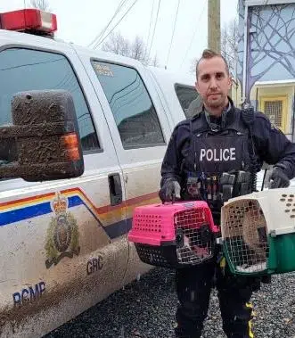 Merritt RCMP officer helping reunite pets with owners