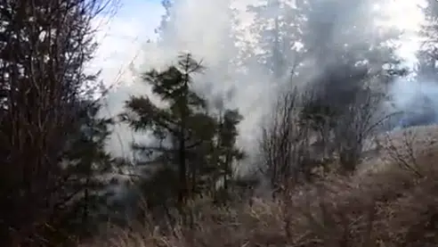 Fire crews doing large-scale controlled burn near Pineview for next two days