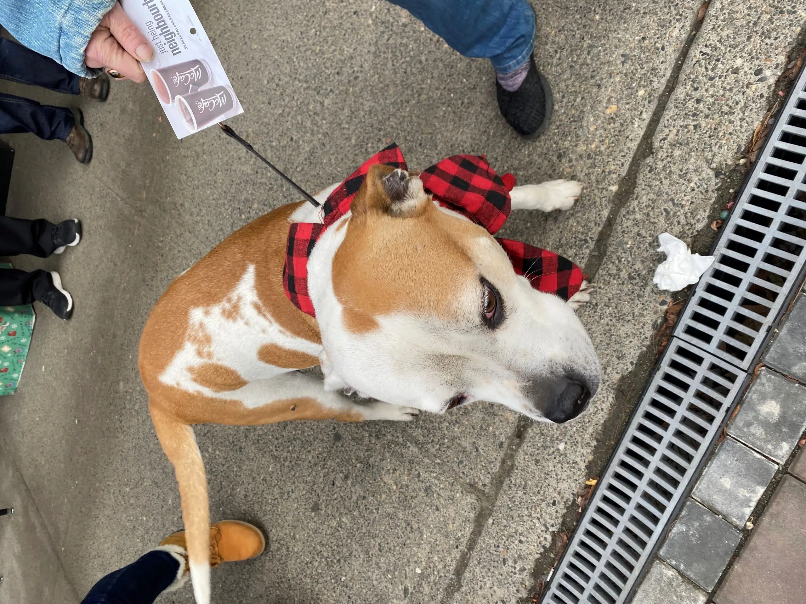 Merritt woman 'knitting up a storm' in Kamloops after losing her house twice in one year