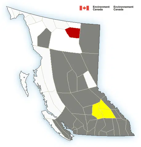 Environment Canada issues special weather statement; severe thunderstorm watch in Kamloops-area