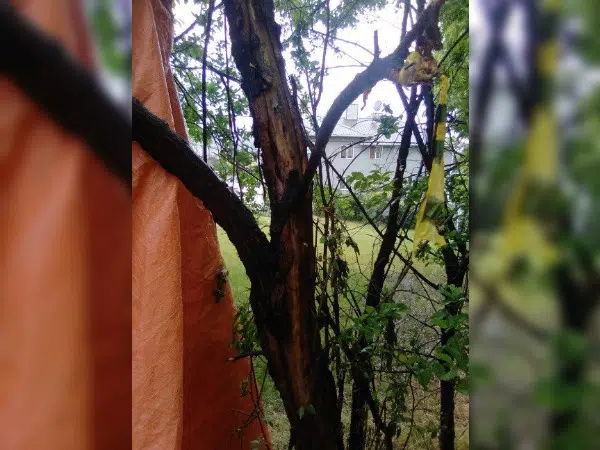 Merritt woman survives lightning strike in Kamloops
