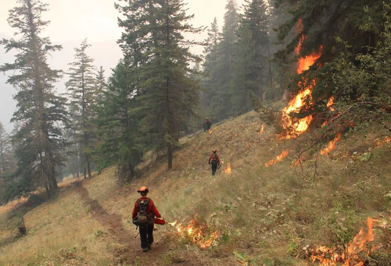 Wildfire activity in B.C. expected to continue through hot, dry August