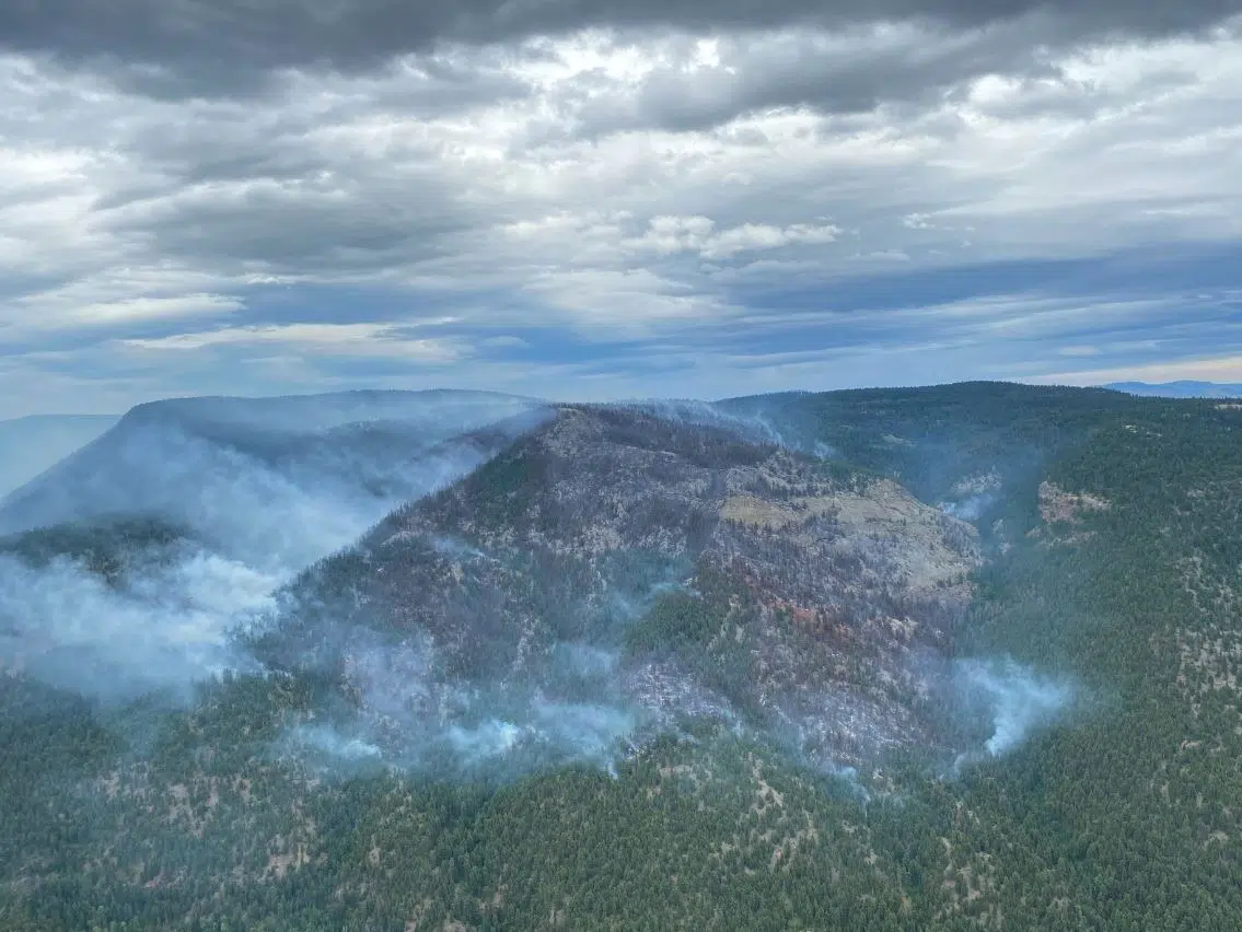 Thursday rain helps reduce fire behaviour on 270 ha Watching Creek wildfire near Kamloops