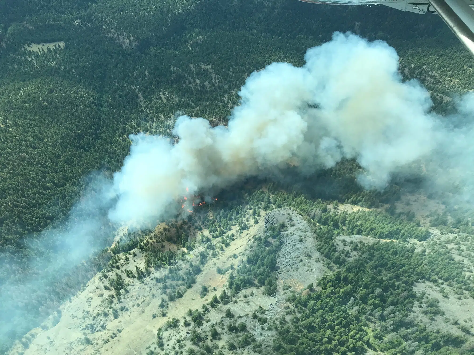 UPDATE - Watching Creek fire near Kamloops classified as Fire of Note