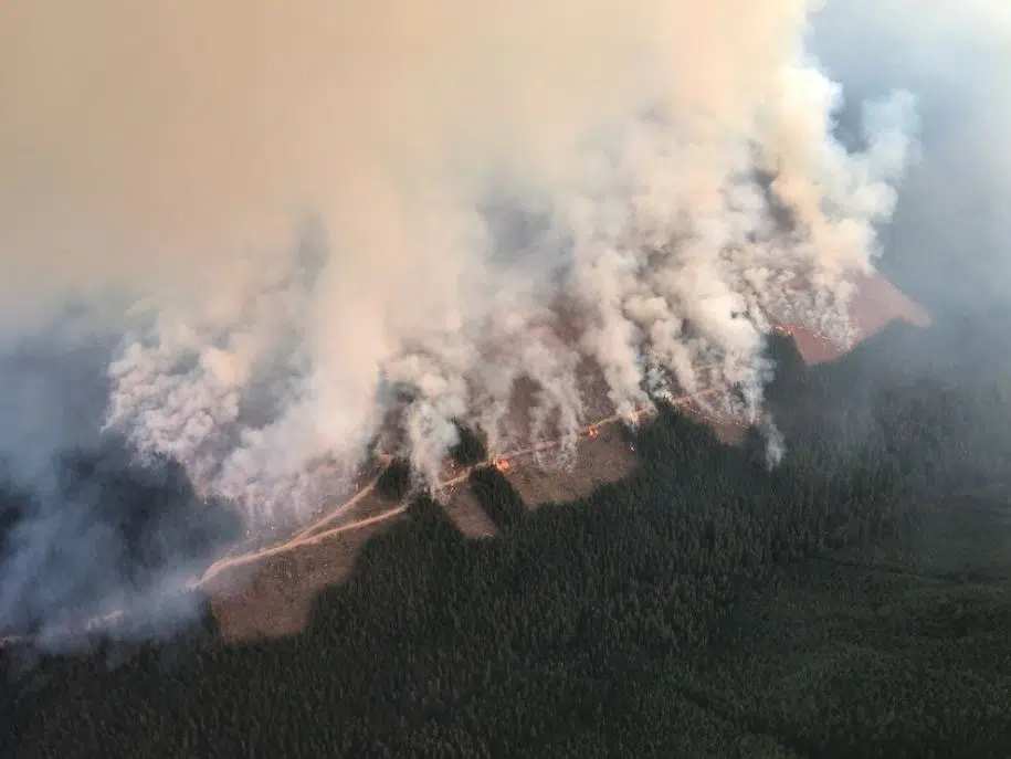 B.C. expected to request Ottawa's help with worsening wildfires: minister