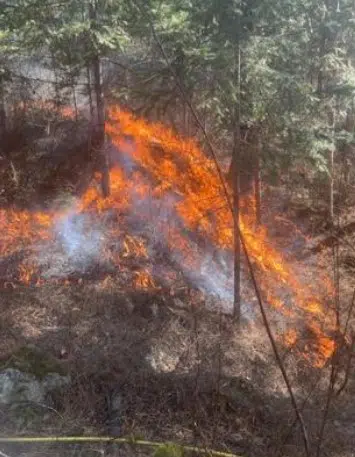 Provincial authorities suggest 2023 flood and wildfire seasons likely similar to last year