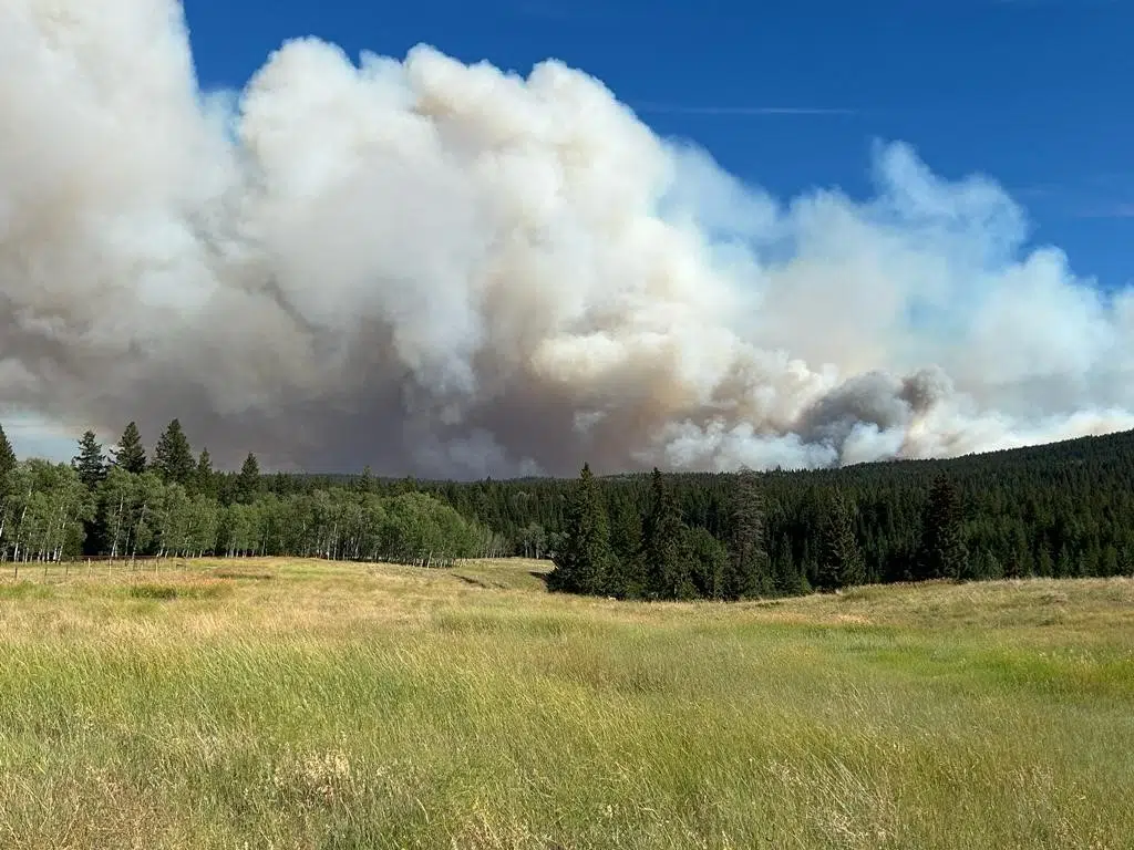 Favourable weather helping BC Wildfire Service battle Ross Moore Lake fire near Kamloops