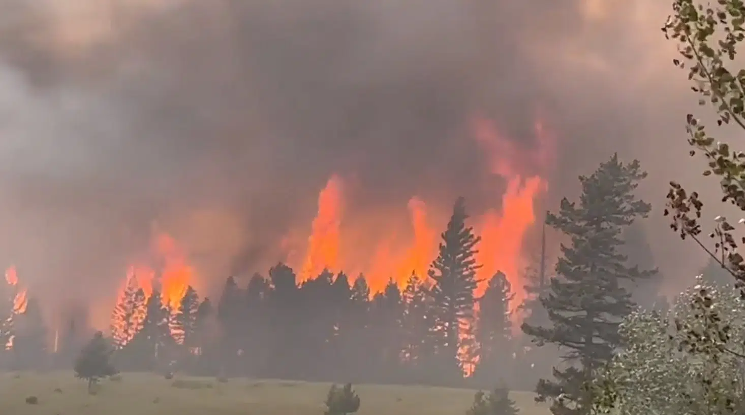 TNRD issues new evacuation orders as Ross Moore Lake fire burns out of control