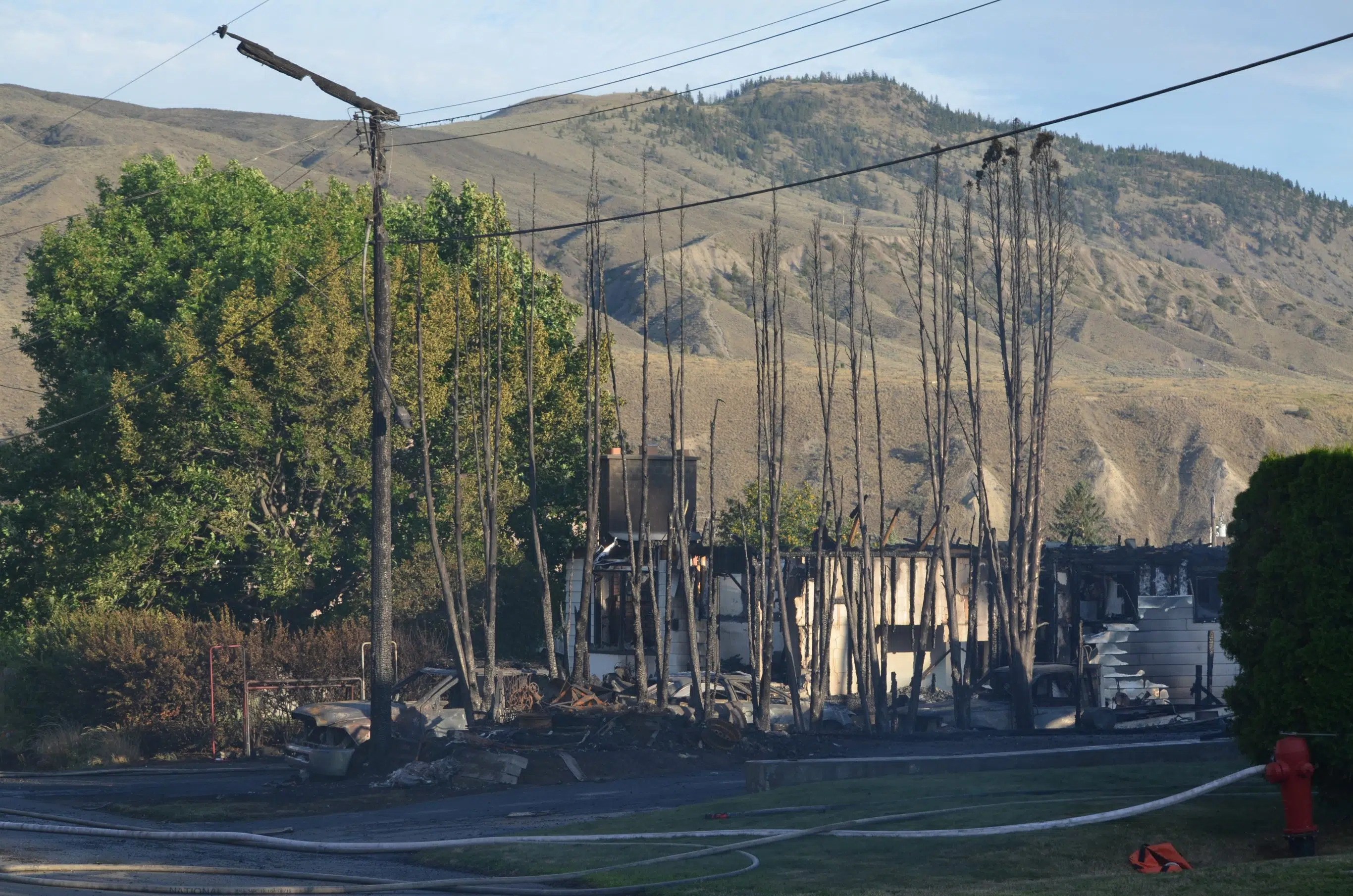 Kamloops Fire, City to offer free cedar hedge chipping for residents in Juniper and Rosehill