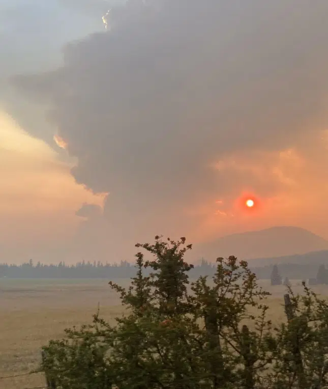 'It saves hundreds of homes,' BC Wildfire defending planned ignition in North Shuswap