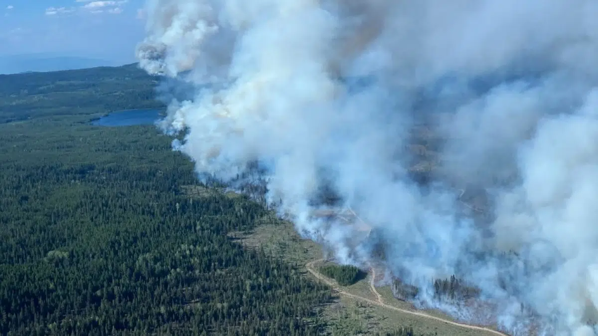 BC Wildfire issues area restriction order south of Kamloops