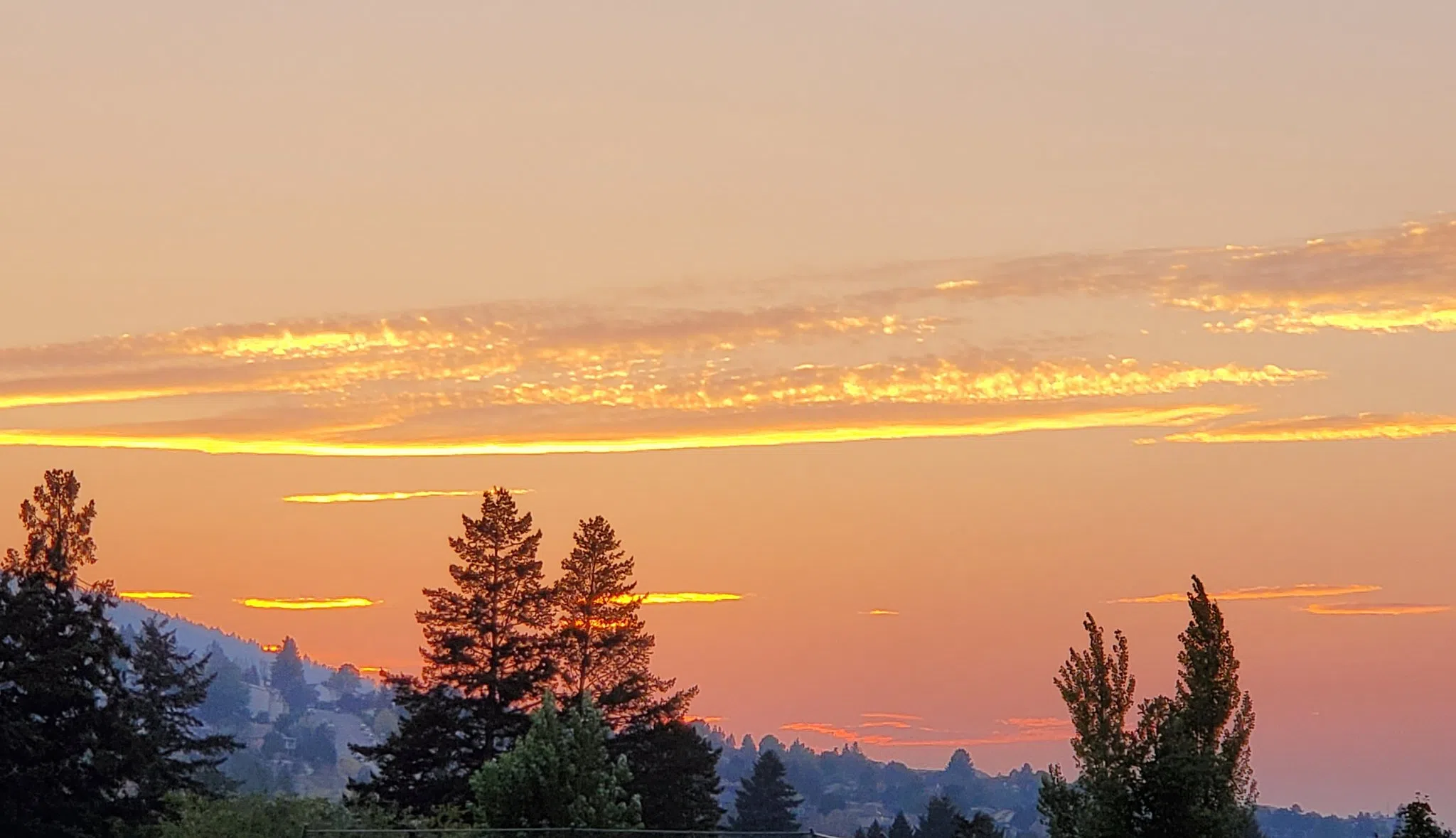 More heat records tumble as mercury levels soar across B.C.