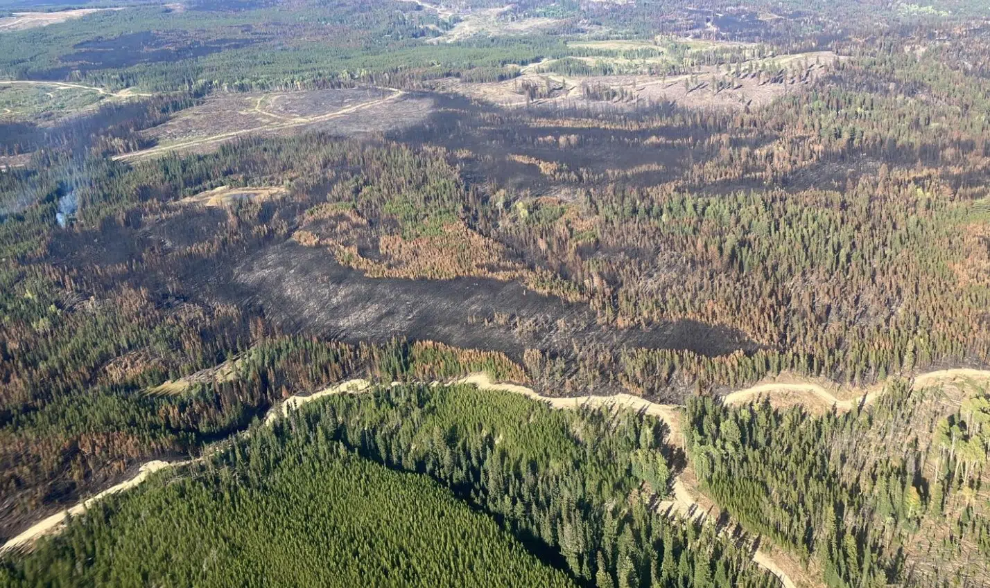 Ross Moore Lake fire near Kamloops being held at 114 sq. km.