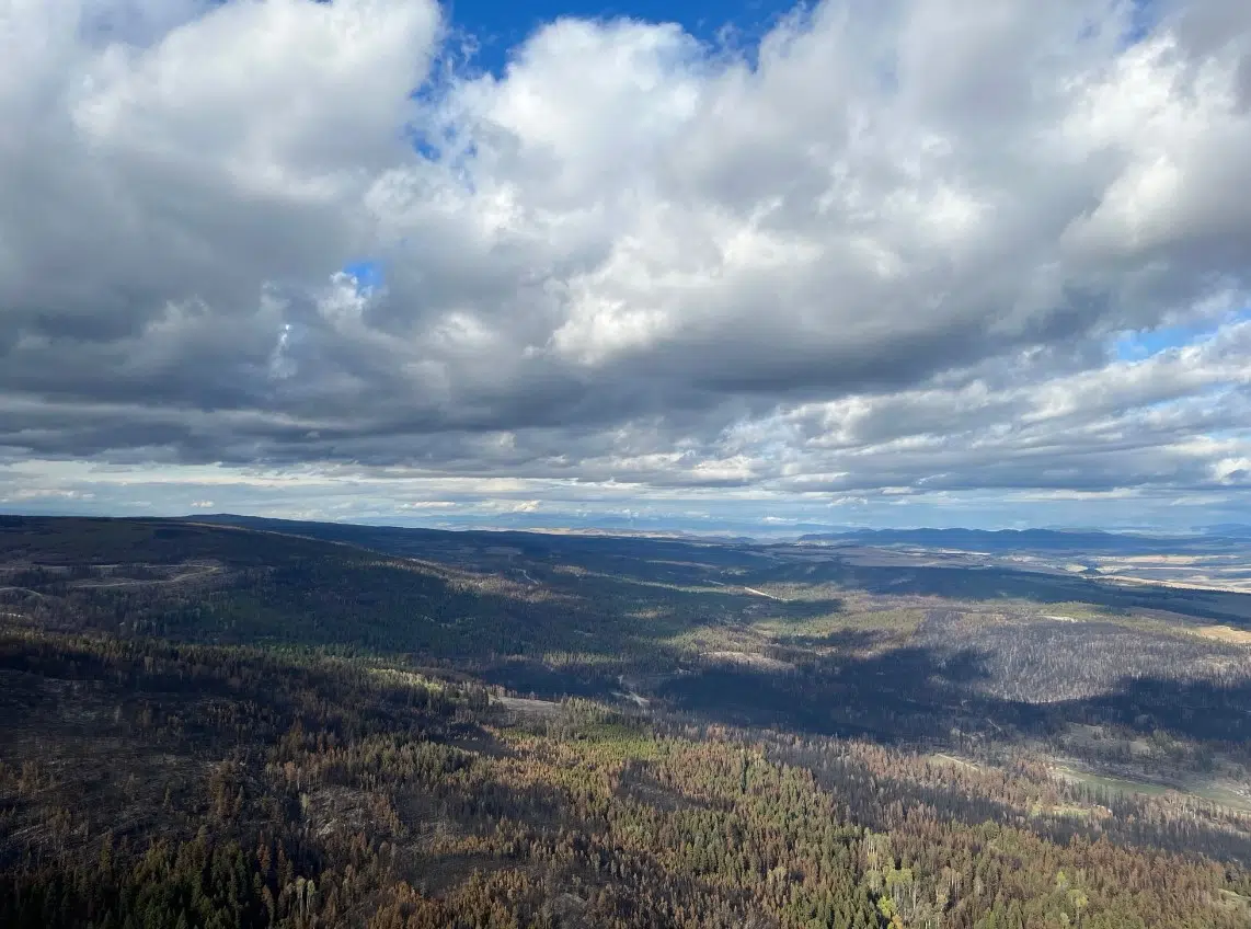 BC Wildfire Service says Ross Moore Lake fire no longer considered fire of note