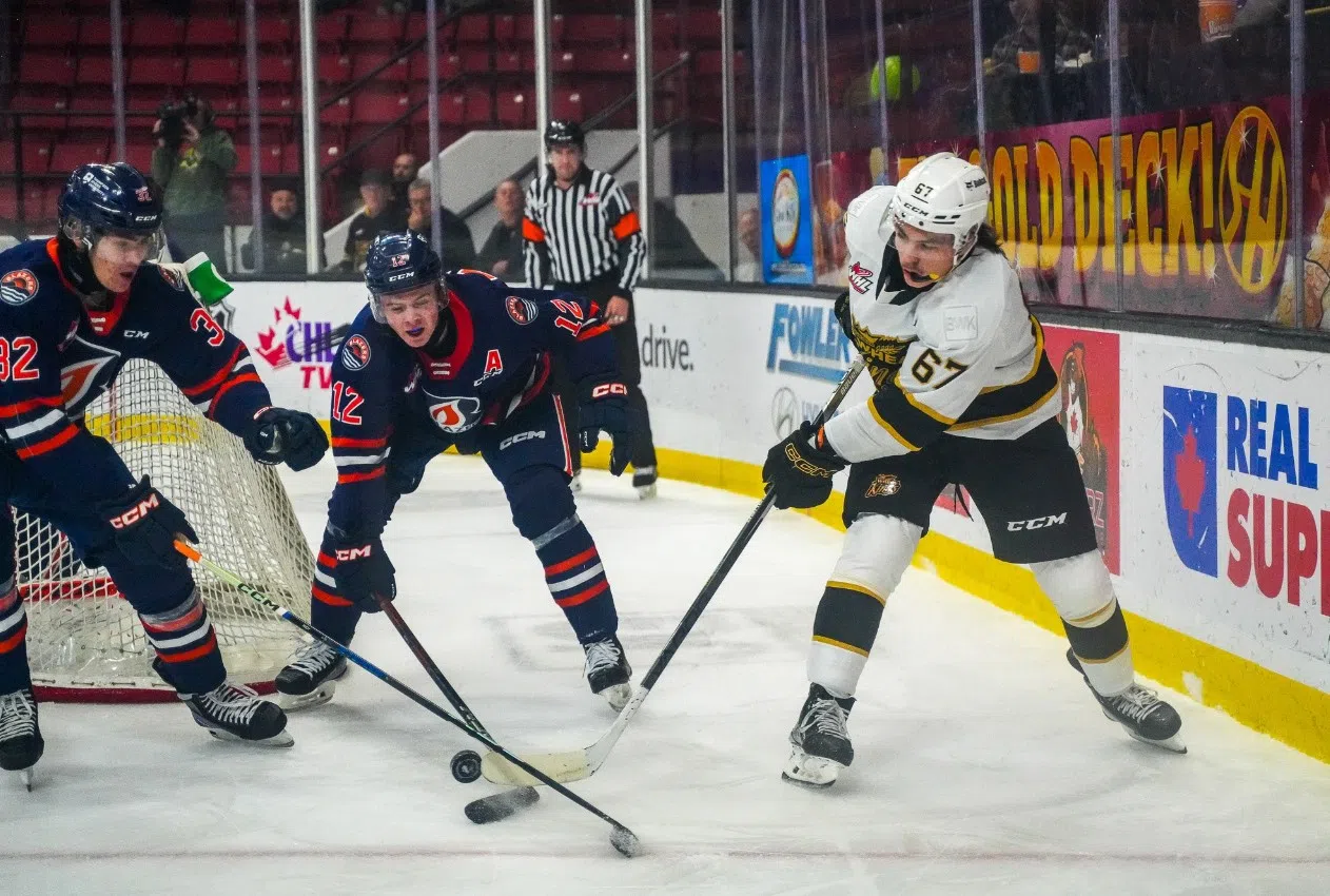 Blazers drop 6-2 decision to Brandon Wheat Kings