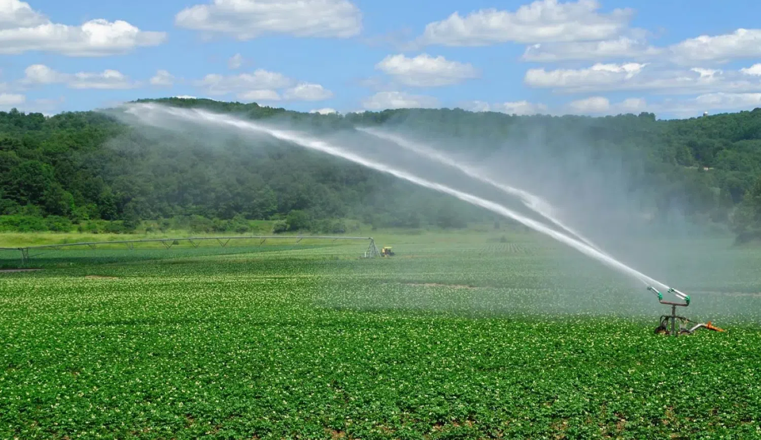 Noble Creek users press for more compensation as shutdown of irrigation system progresses