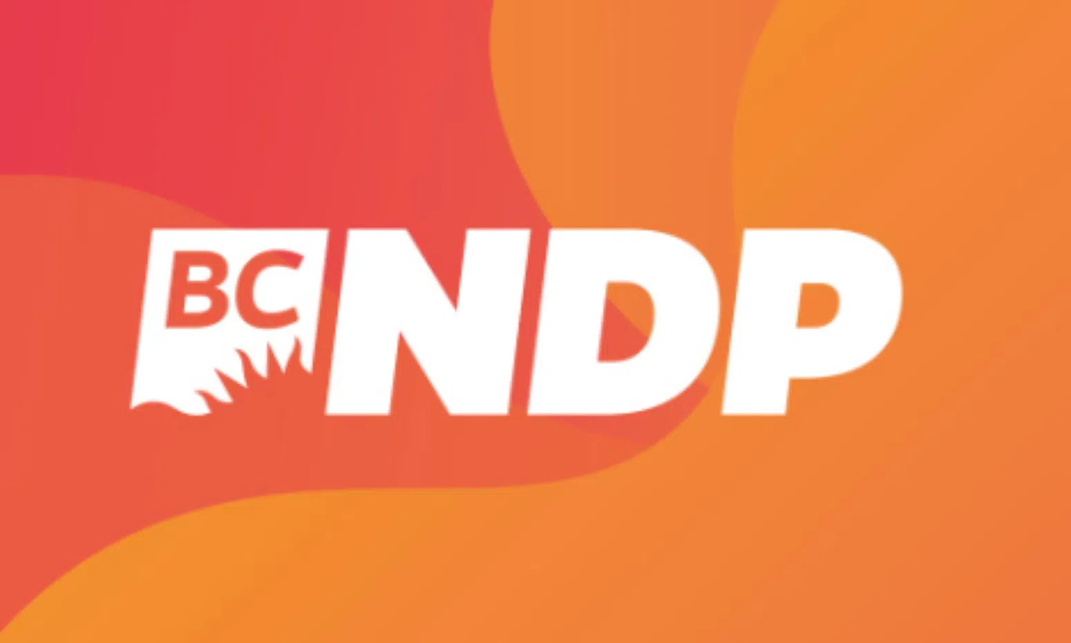 NDP nominates first candidates for next provincial election in October