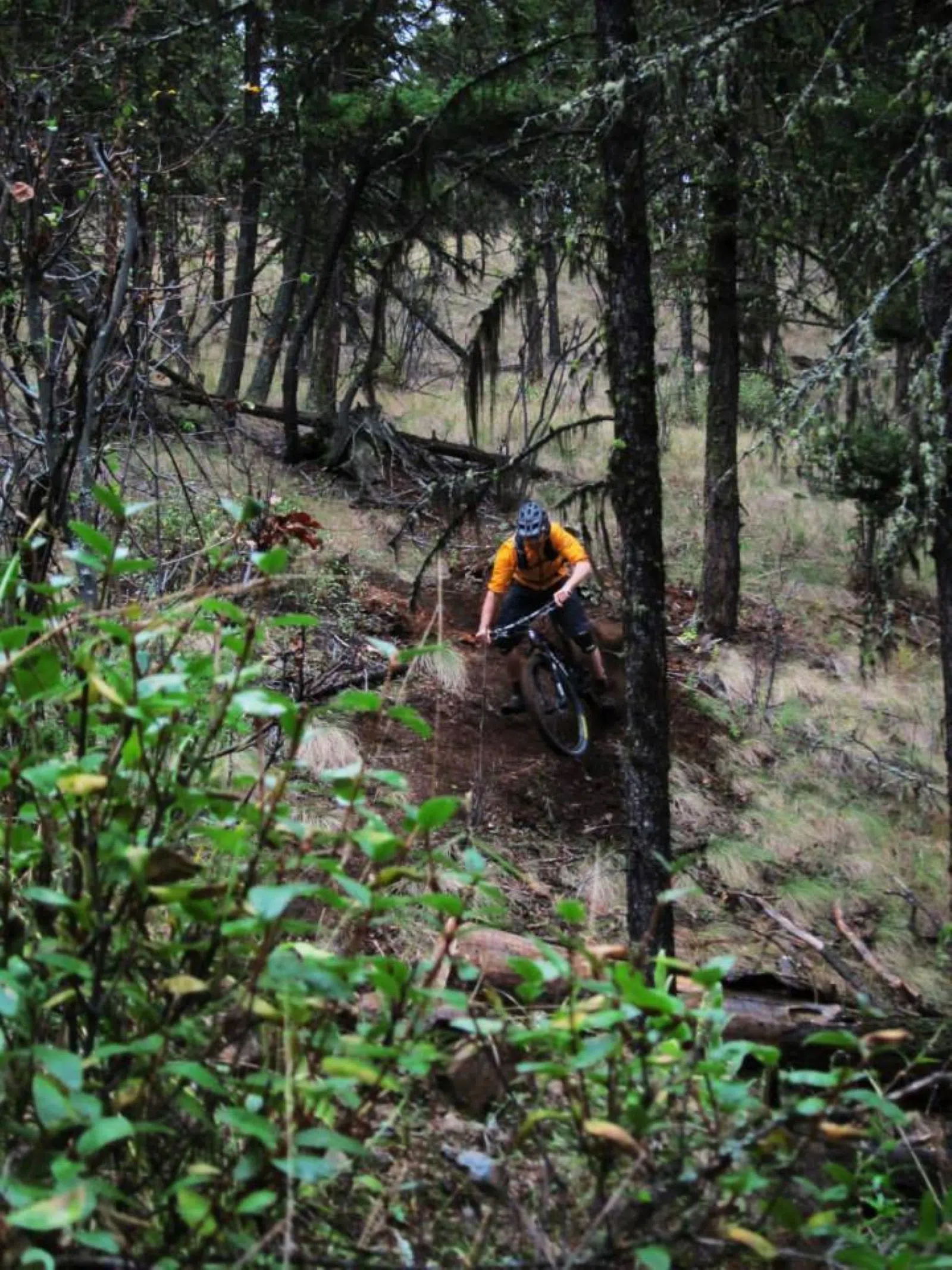 Kamloops Bike Ranch operators warn of growing vandalism, fires