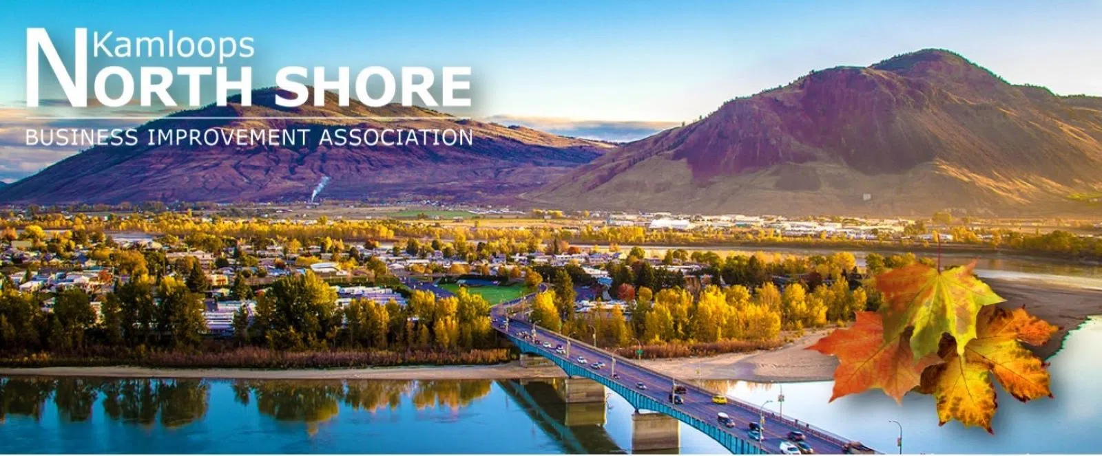 Kamloops Business Improvement Associations seek funding