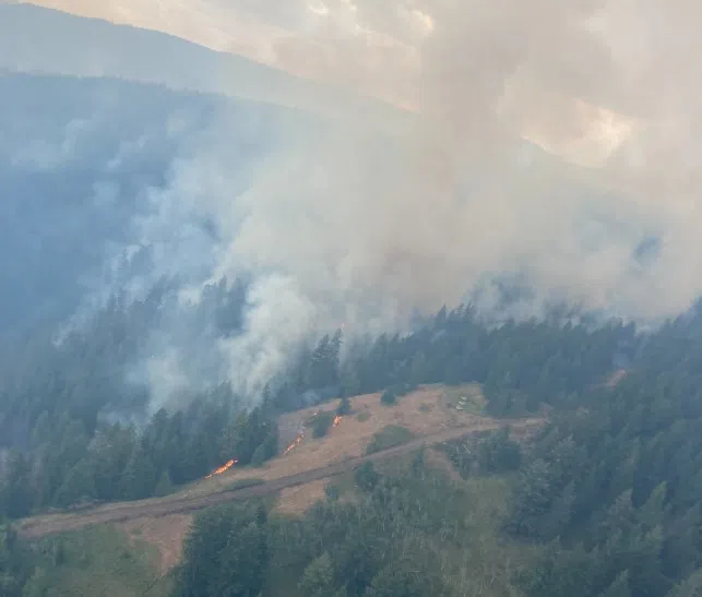 Hullcar Mountain fire near Enderby downgraded