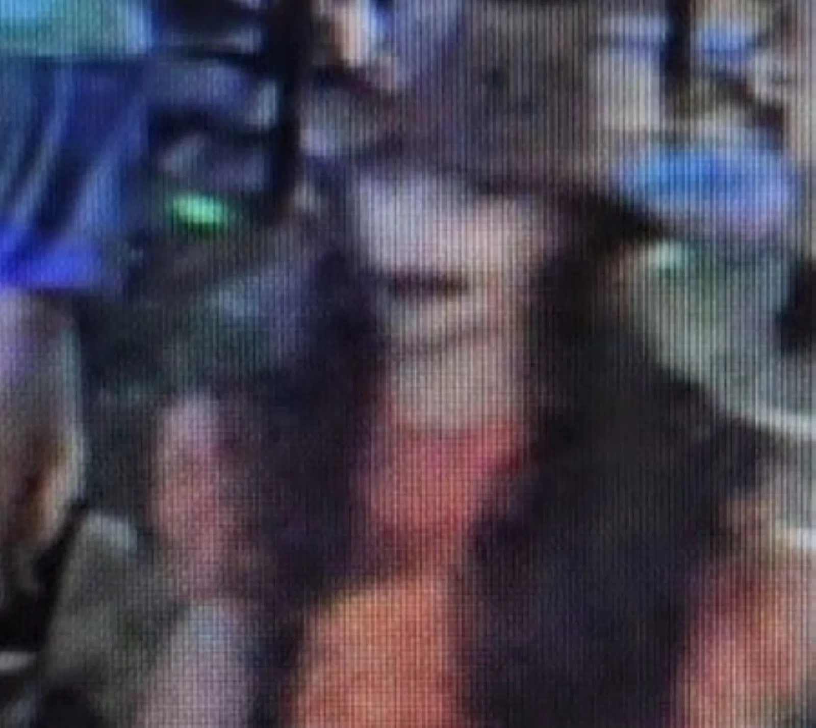 Kamloops RCMP release images of man who allegedly poured beer on Mayor