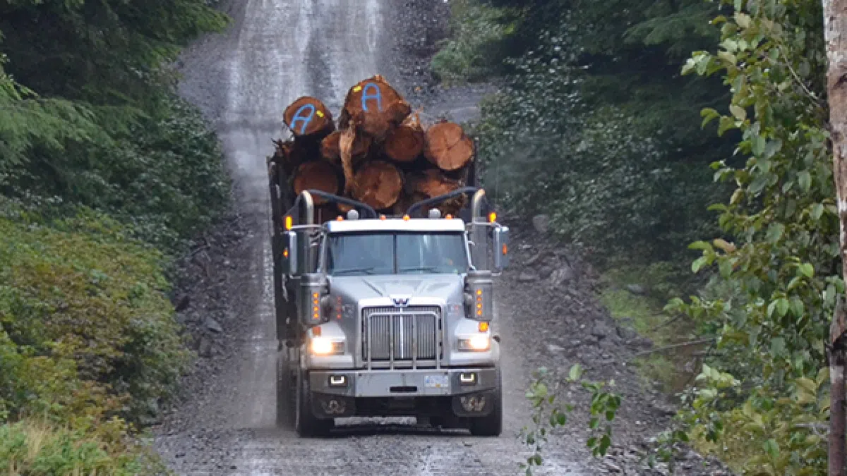Forestry groups launch “Forestry is a Solution” campaign, urging British Columbians to speak up