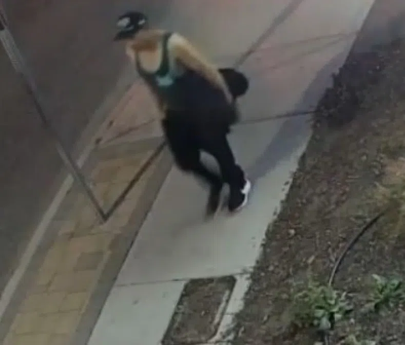 Photo of possible suspect in downtown dumpster fires revealed