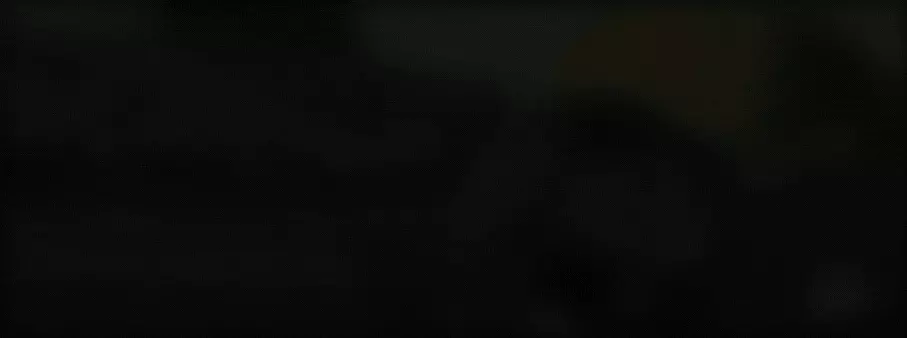 Feature: https://player.radionl.com