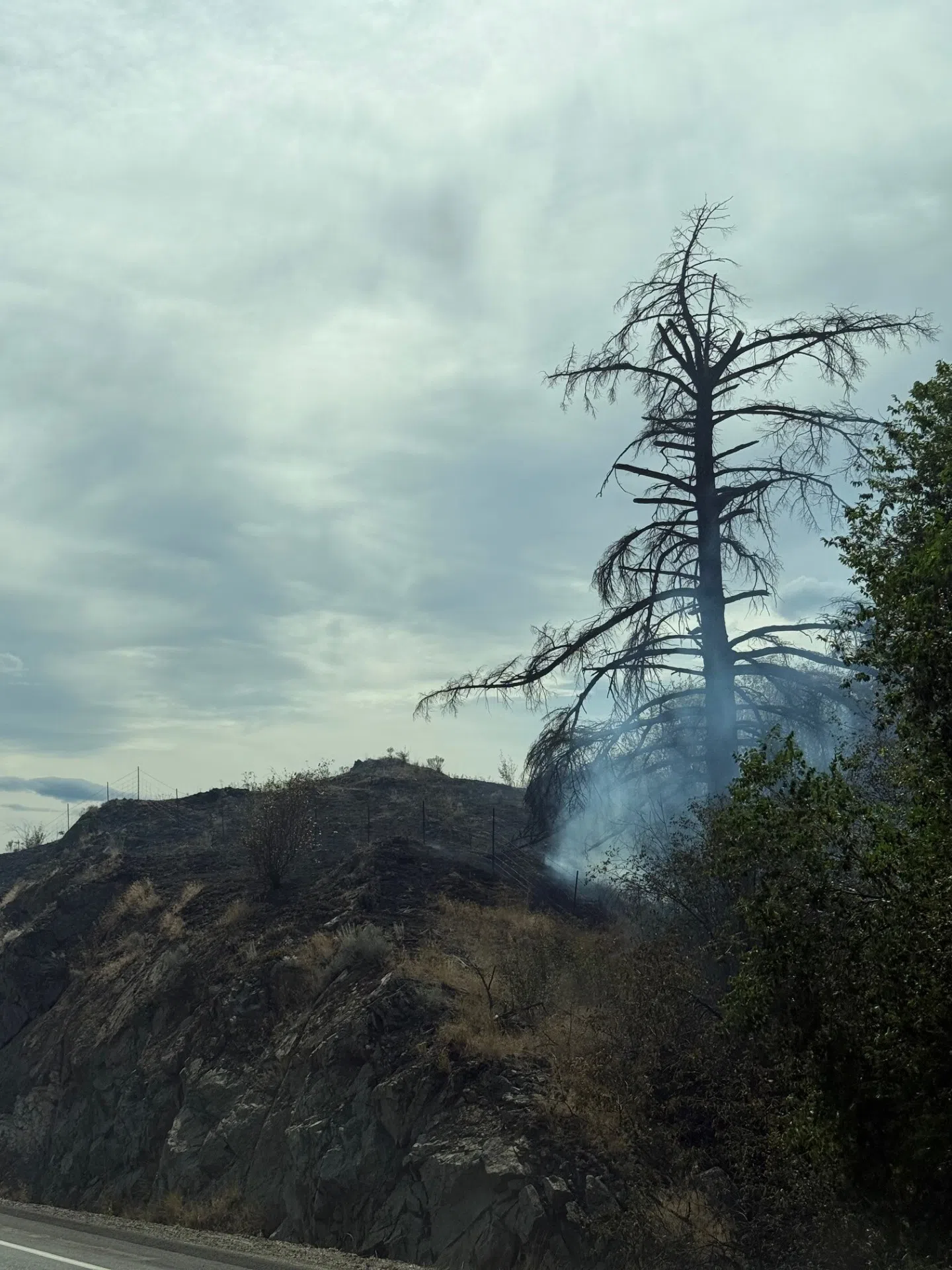 UPDATE: Wildfire south of Vernon grows, but traffic on 97 remains open