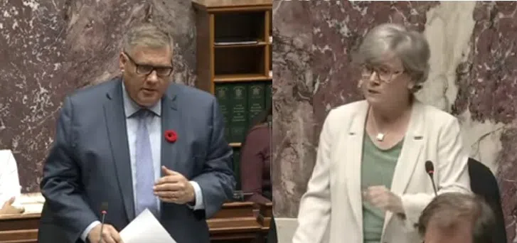 B.C. Health Minister faces fire over 'collapse' of women's health services as 130 OB-GYNs warn of crisis