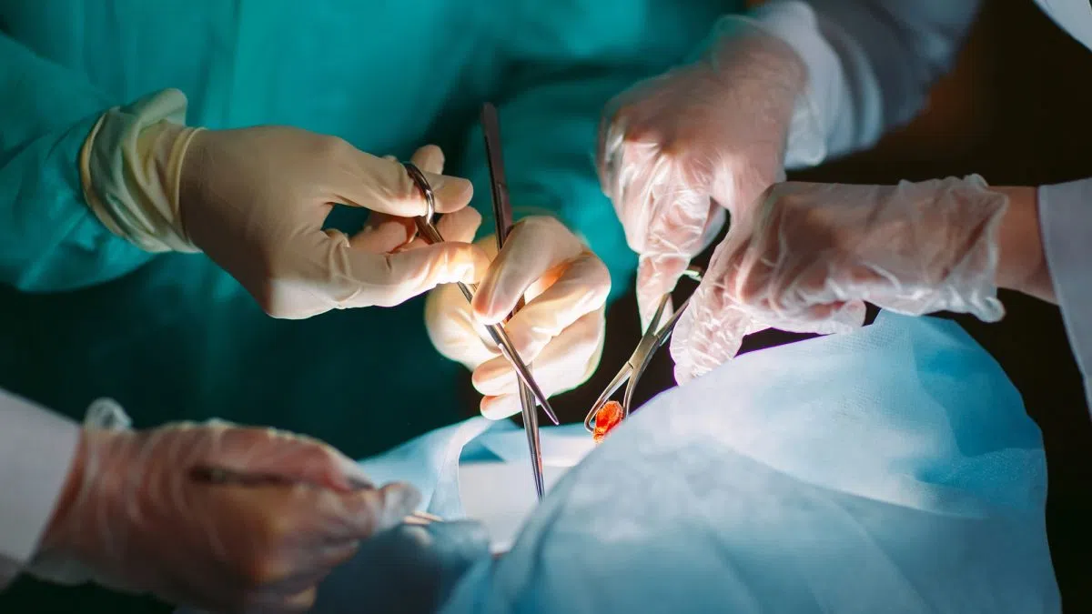 BC sets record for organ transplants in 2025, thanks to 232 donors