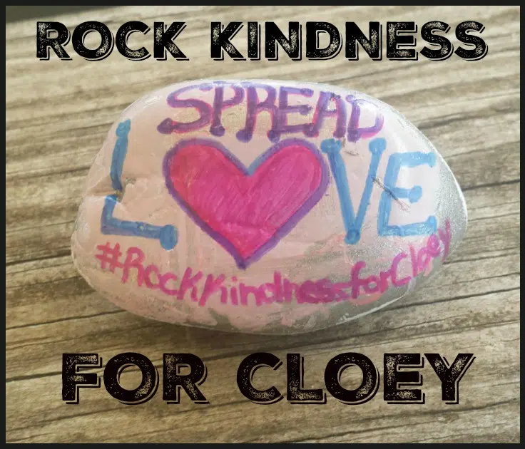 Taffie Hosler - Rock Kindness for Cloey