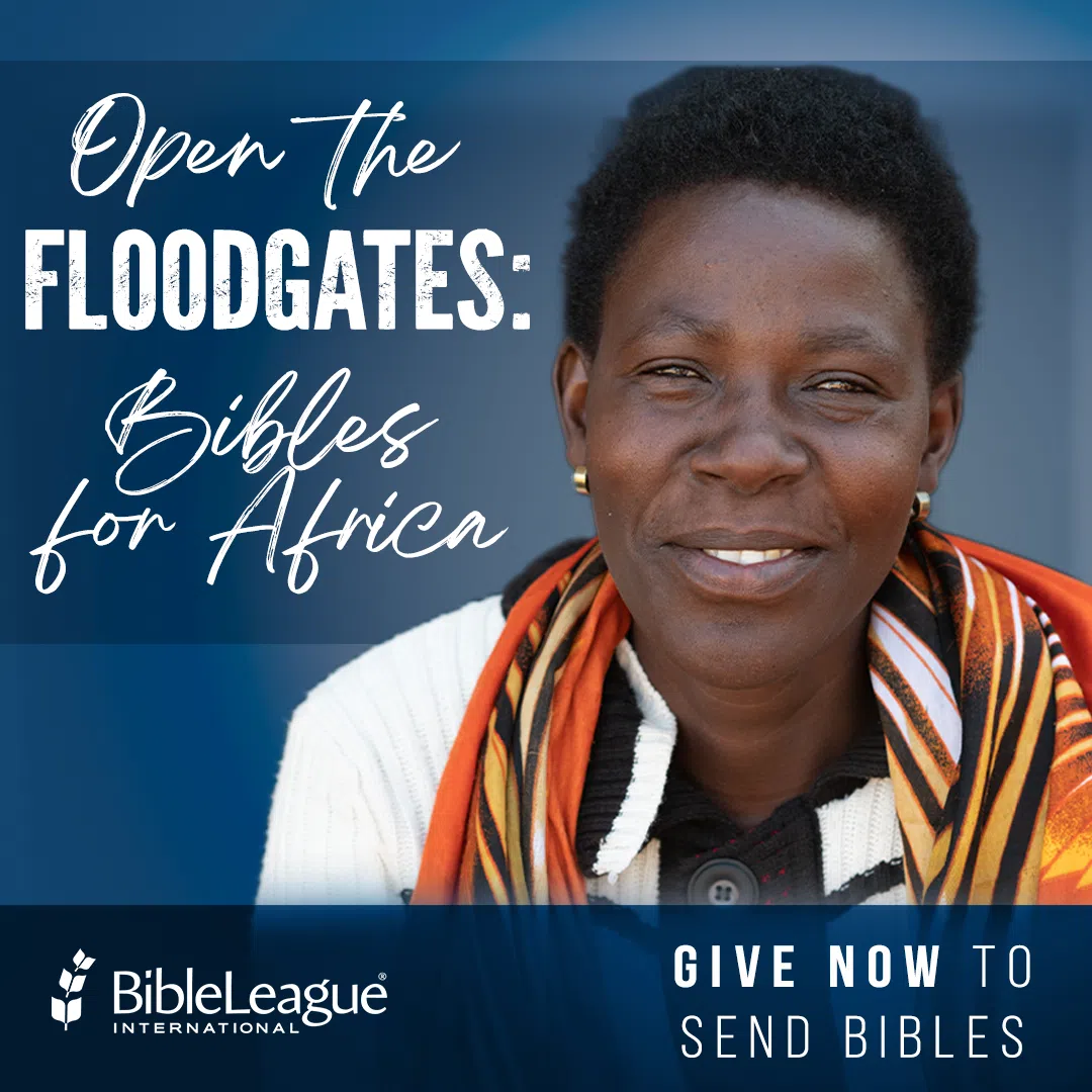Michael Woolworth: Bible League International